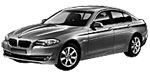 BMW F10 C209F Fault Code